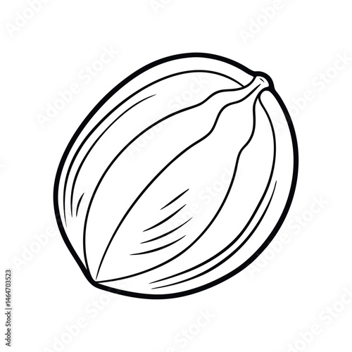 Outline of Nutmeg Line Art Vector Design