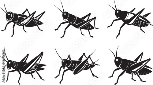 set of grasshopper silhouette, black and white silhouette, vector and illustration