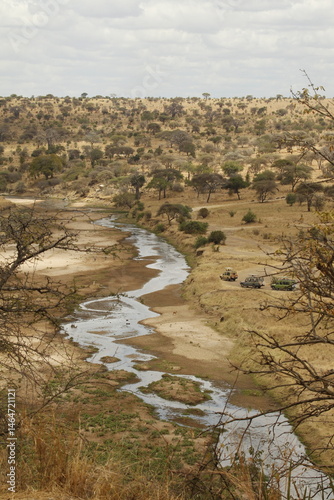 Paesaggio con fiume in uno dei parchi nazionali della Tanzania,Africa.