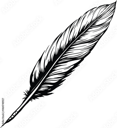 Feather illustration black and white drawing vector graphic design element isolated on white background