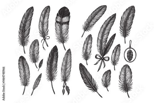 feather bird set woodcut engraving vector illustration