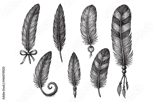 feather bird set woodcut engraving vector illustration