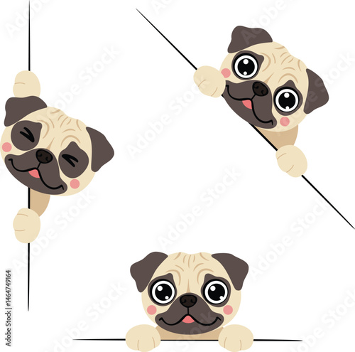 Adorable Pug Puppies Looking Over Borders