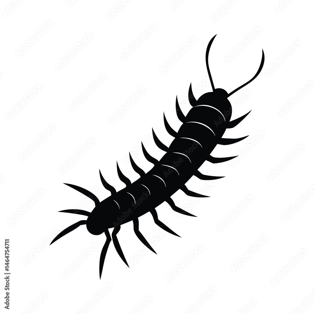 Crawling Centipede Minimal Vector Silhouette Crawling Centipede Minimal Vector Silhouette