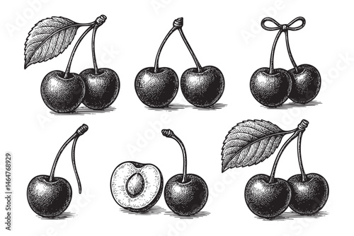 cherry set woodcut engraving vector illustration