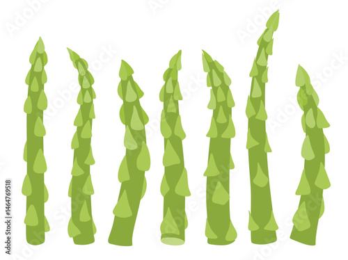 Asparagus vector icon set in the flat style on white background.