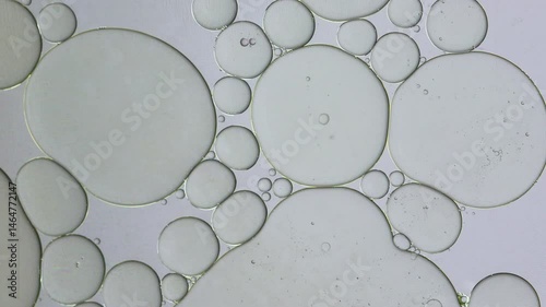 Closed up view of Oil and water bubbles floating on surface white silver background.  4K video.
