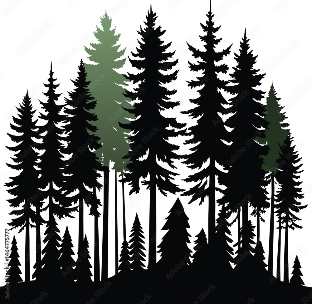 Obraz premium Silhouette Forest Illustration: Evergreen Pine Trees, Woodland Landscape, Nature Graphic, Vector Art, Dark Green & Black Design