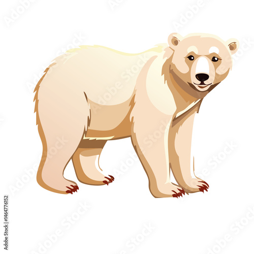 polar bear vector wildlife graphic design