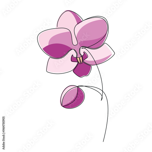 Hand drawn pink orchid flower vector. Linear icon. Line continuous drawing. Floral design, botanical print, card, wall art poster, logo, sign, doodle, symbol. Abstract cartoon plant illustration