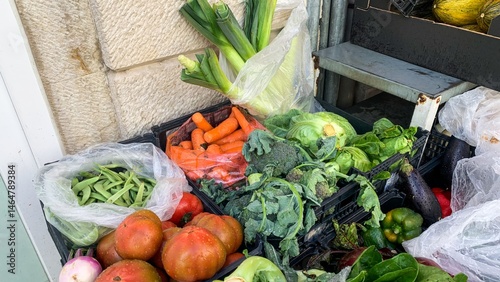Vibrant harvest bounty, vegetables sprawled like a color-rich tapestry, nodding to Earth Day celebrations and the Slow Food movement