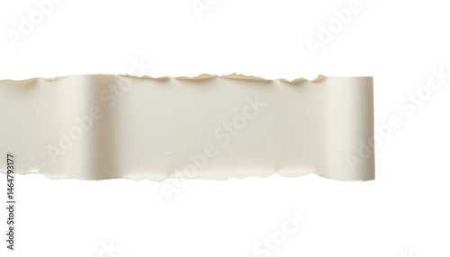 Torn off piece of paper with curly edges, isolated on white background.