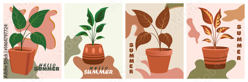 Creative concept spring to summer wall art painting greeting cards set plants, leaves, flowers, pot art. Abstract style template poster,  covers, ads, branding, wall decor element