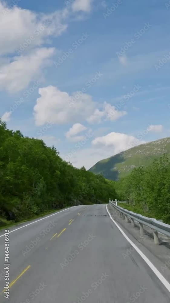 Vertical view of Norway road from car