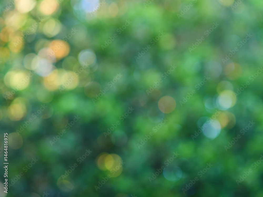 Obraz premium Green Bokeh Nature Background