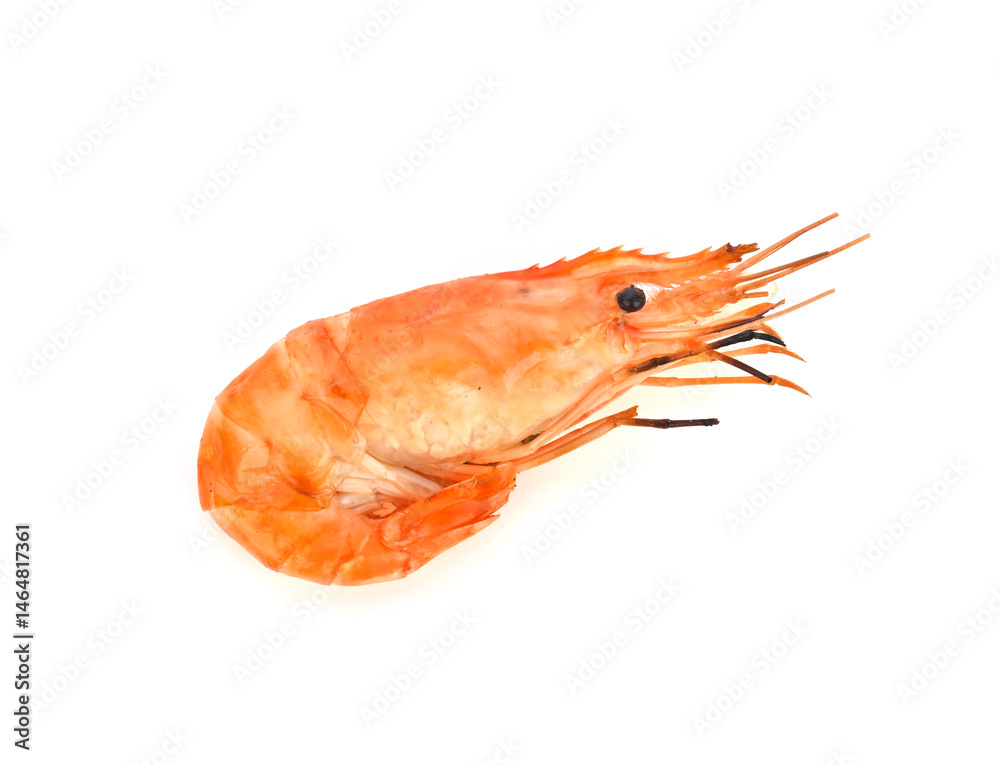 Grilled prawn ,seafood on white background Grilled prawn ,seafood on white background