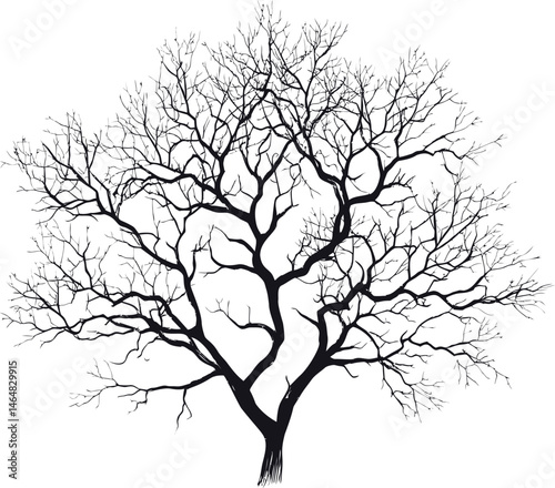 Silhouette of bare tree branches against a , nature illustration. Vector illustration