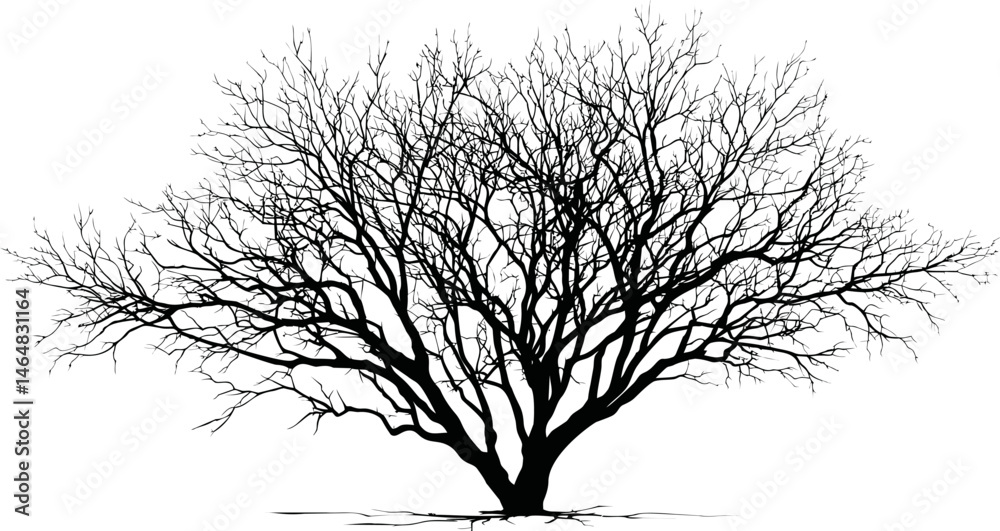 Fototapeta premium Bare tree silhouette with intricate branches against a. Vector illustration