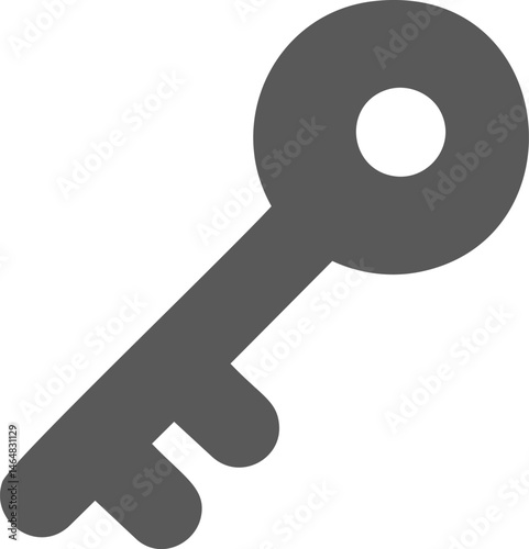 Gray minimalistic key icon , symbolizing access concept. Vector illustration