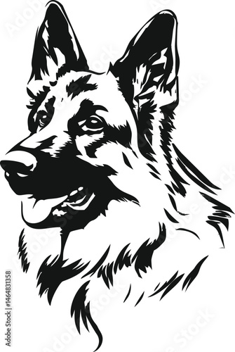 Black and white german shepherd sketch showing detailed facial features. Vector illustration
