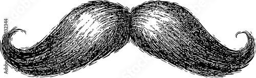 Vintage black and white drawing of a curled mustache illustration. Vector illustration