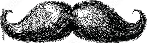 Vintage black and white illustration of a classic curly mustache sketch. Vector illustration