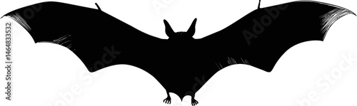 Silhouette of a bat with open wings in high contrast black and white illustration. Vector illustration
