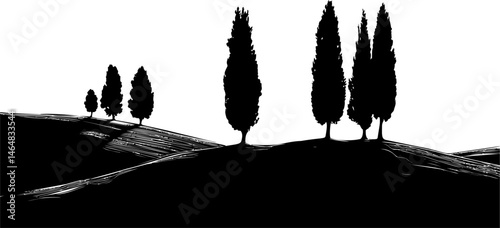 Silhouette of cypress trees on rolling hills in black and white artwork. Vector illustration