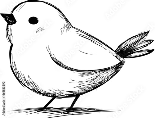 Black and white sketch of a cute bird with detailed feathers. Vector illustration