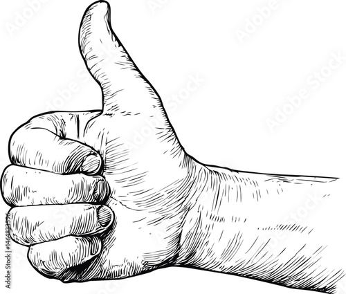 Sketch of a human hand giving a thumbs up in black and white, classic line art. Vector illustration