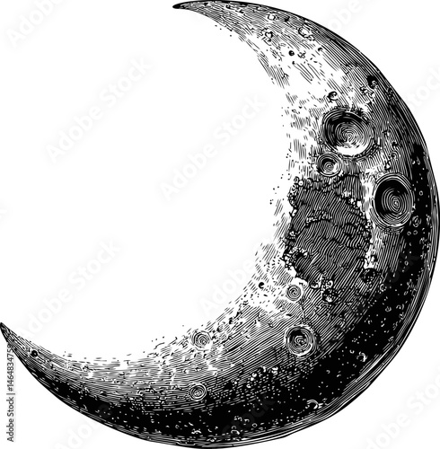 Vintage engraving of a crescent moon with textured craters, celestial art. Vector illustration