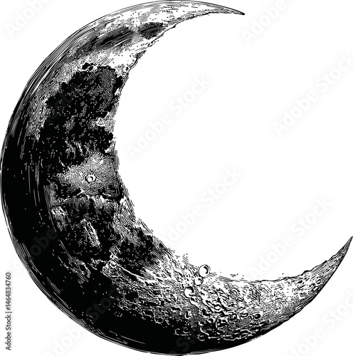 Vintage crescent moon illustration with detailed texture in black and white. Vector illustration