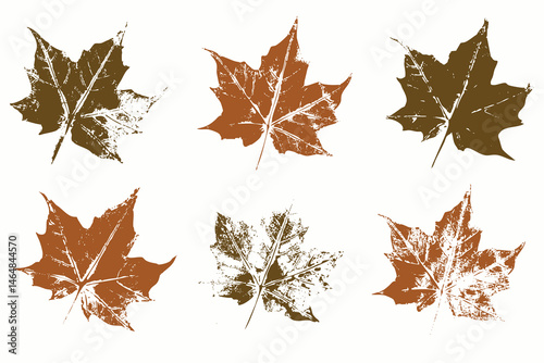 Natural maple tree leaves imprint, Grunge style, Vector, Isolated, Decorative elements for design	