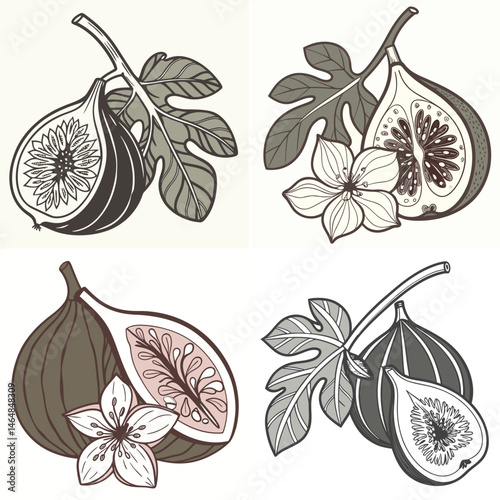 Fig tree flower icon hidden inside ripe fruit