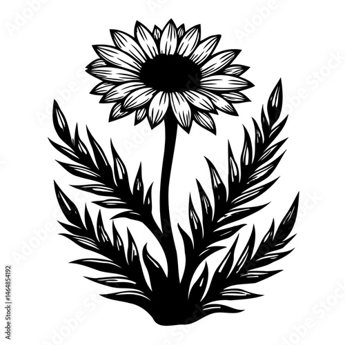 Monochrome botanical illustration with sunflower and stylized foliage design