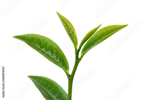 Hand holding a shiny golden trophy surrounded by sparkling golden stars