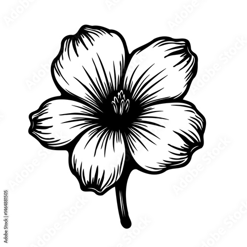 Elegant monochrome floral illustration with detailed line work and classic appeal