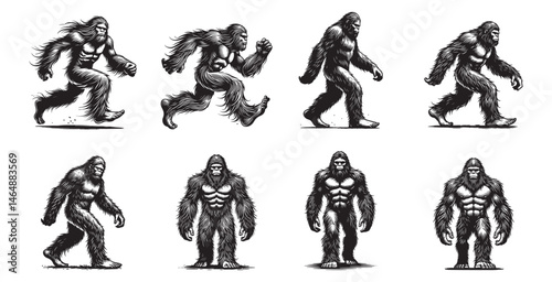 Bigfoot vector illustration set, mythical creature