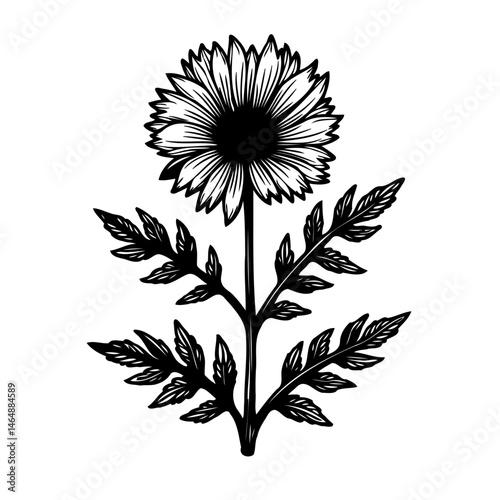 Intricate monochrome botanical illustration of a stylized, blossoming flower