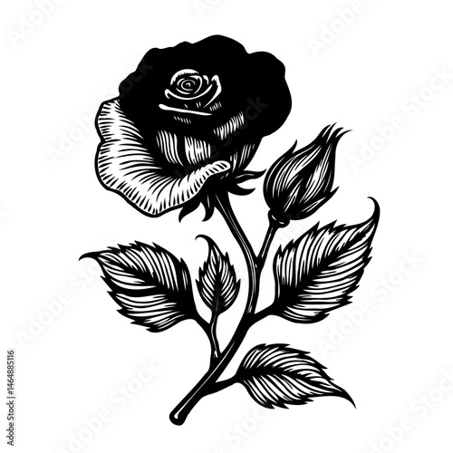 Monochrome rose engraving evoking timeless elegance and gothic romanticism