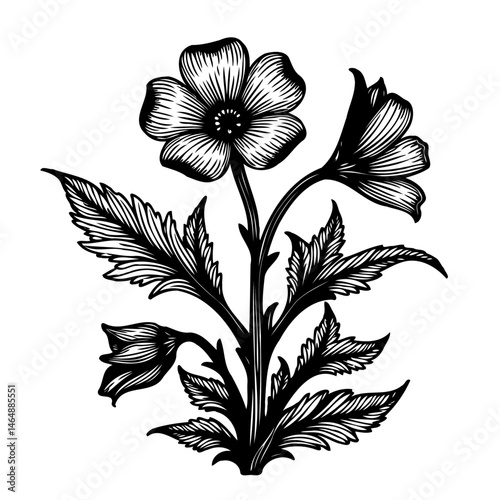 Elegant monochrome botanical illustration featuring a detailed floral design artwork