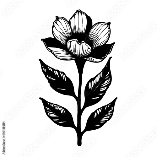Botanical elegance: a monochrome floral illustration with delicate leaf patterns