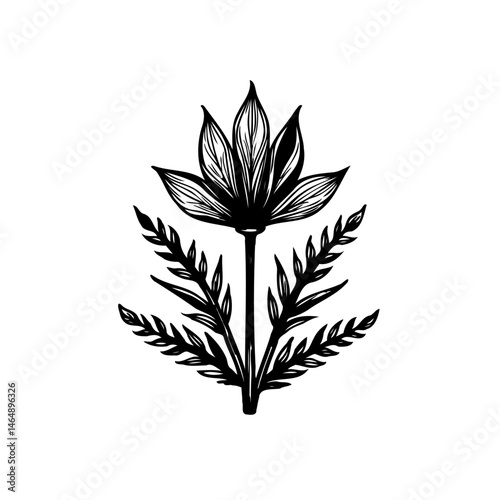Elegant floral arrangement showcases stark monochromatic botanical illustration