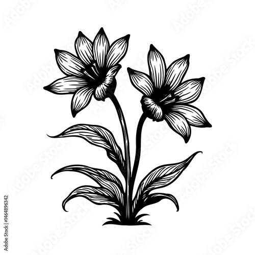 Elegant monochrome floral arrangement illustration with botanical line art details