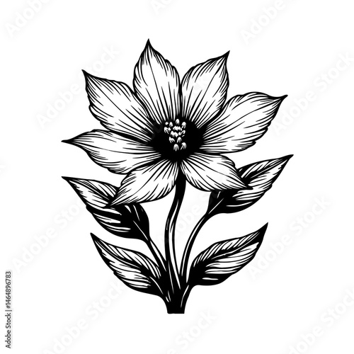 Elegantly rendered floral illustration displaying organic linework detail and intricate shading
