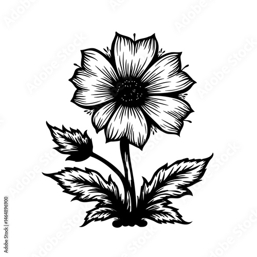 Monochrome botanical illustration showcasing a flower with intricate linework detail