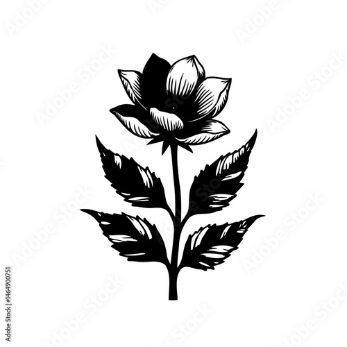 Monochrome floral illustration with detailed shading and textured leaves design
