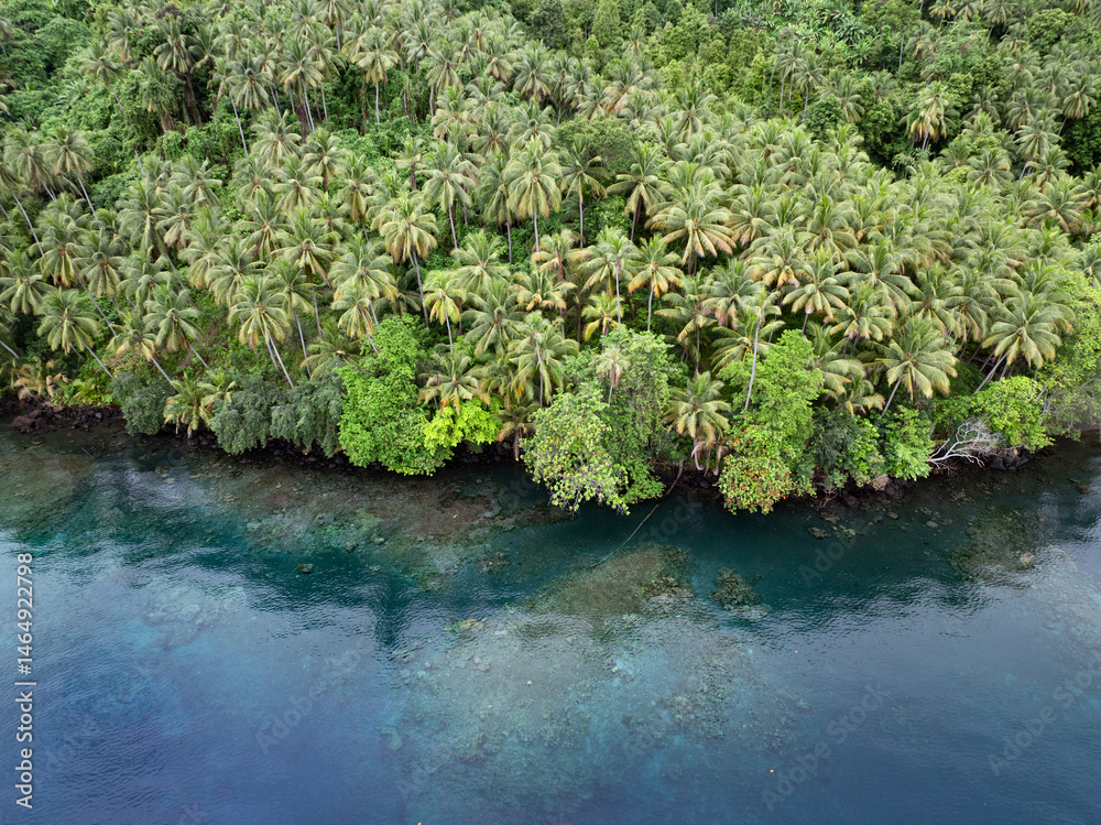 Naklejka premium An extensive rainforest covers a remote, tropical island near Halmahera, Indonesia.This beautiful area is home to extraordinary marine and terrestrial biodiversity.