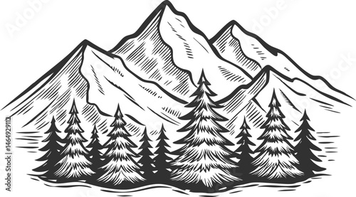 Rustic engraved sketch of a mountain range with pine trees in vintage contour line style for outdoor and nature-themed design

