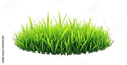 Green fresh blades of grass, patch, lawn, PNG transparent background, isolated graphic resource cutout
